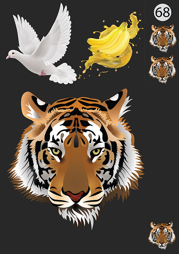 Набор 68 Это изображение: Белый голубь, Бананы, Тигр, Голова Тигра 