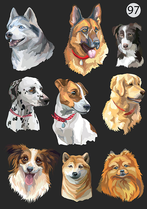 Набор 97 Это изображение: Собаки разных пород 