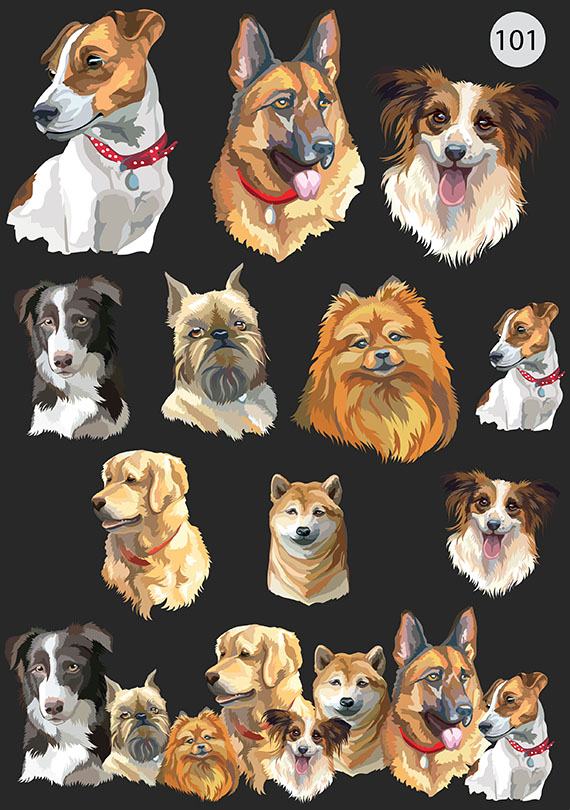 Набор 101 Это изображение: Собаки  